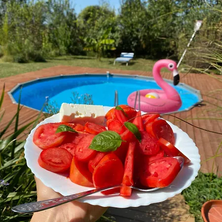 Morava Garden - Village Tourism Jagodina