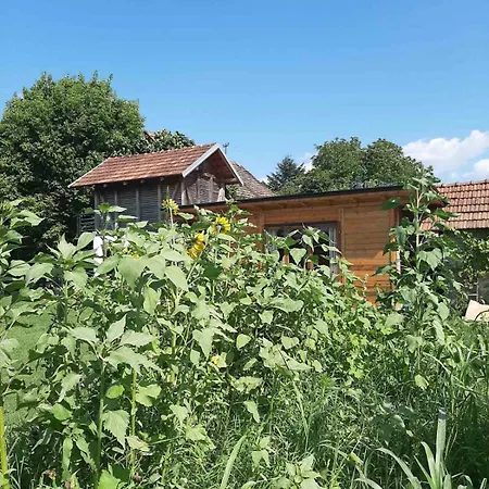 Morava Garden - Village Tourism Prázdninový dům Jagodina