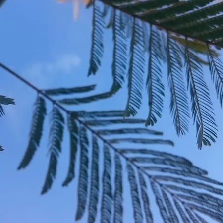 Morava Garden - Village Tourism Prázdninový dům