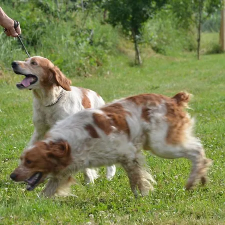 Morava Garden - Village Tourism Jagodina