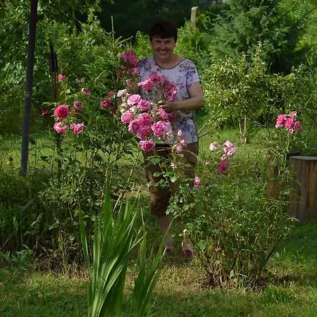 Morava Garden Holiday home