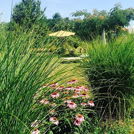 Morava Garden Holiday home
