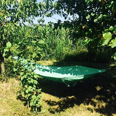 Morava Garden Holiday home
