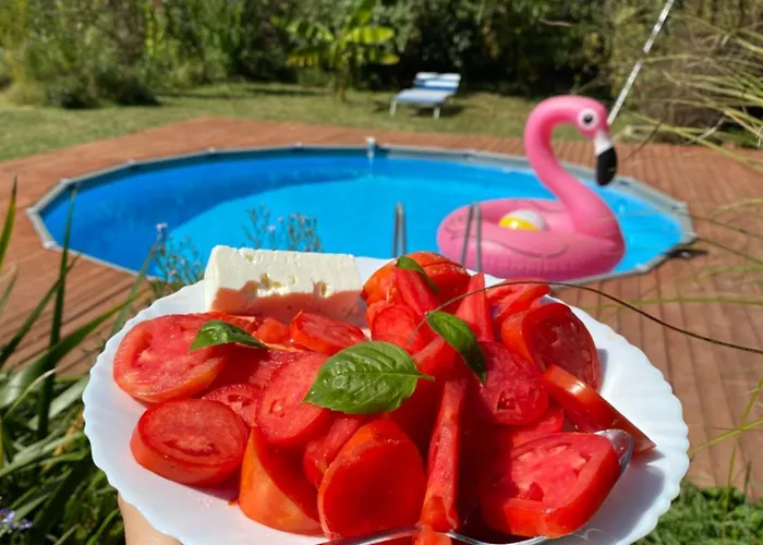 Morava Garden - Village Tourism 야고디나