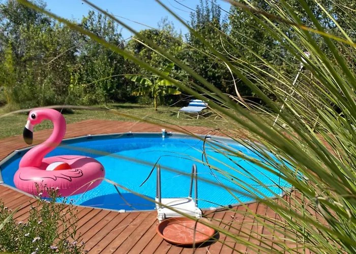 Morava Garden - Village Tourism 펜션 *