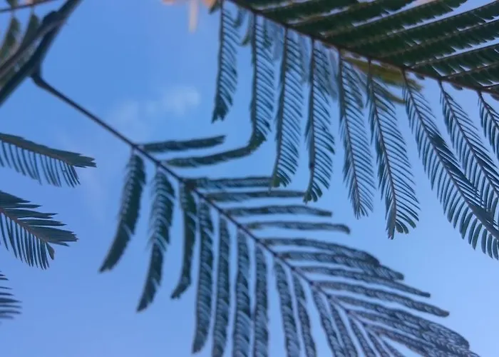 Morava Garden - Village Tourism 펜션