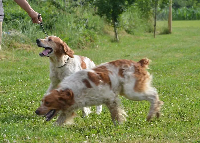 Morava Garden - Village Tourism 야고디나