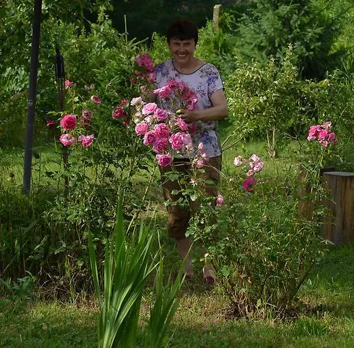 Morava Garden - Village Tourism 펜션