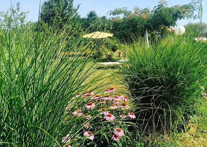 Morava Garden - Village Tourism 펜션